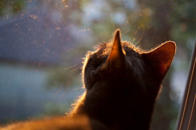 哥伦比亚女足在巴黎奥运会比赛中以2-1战胜葡萄牙,哥伦比亚足球美女