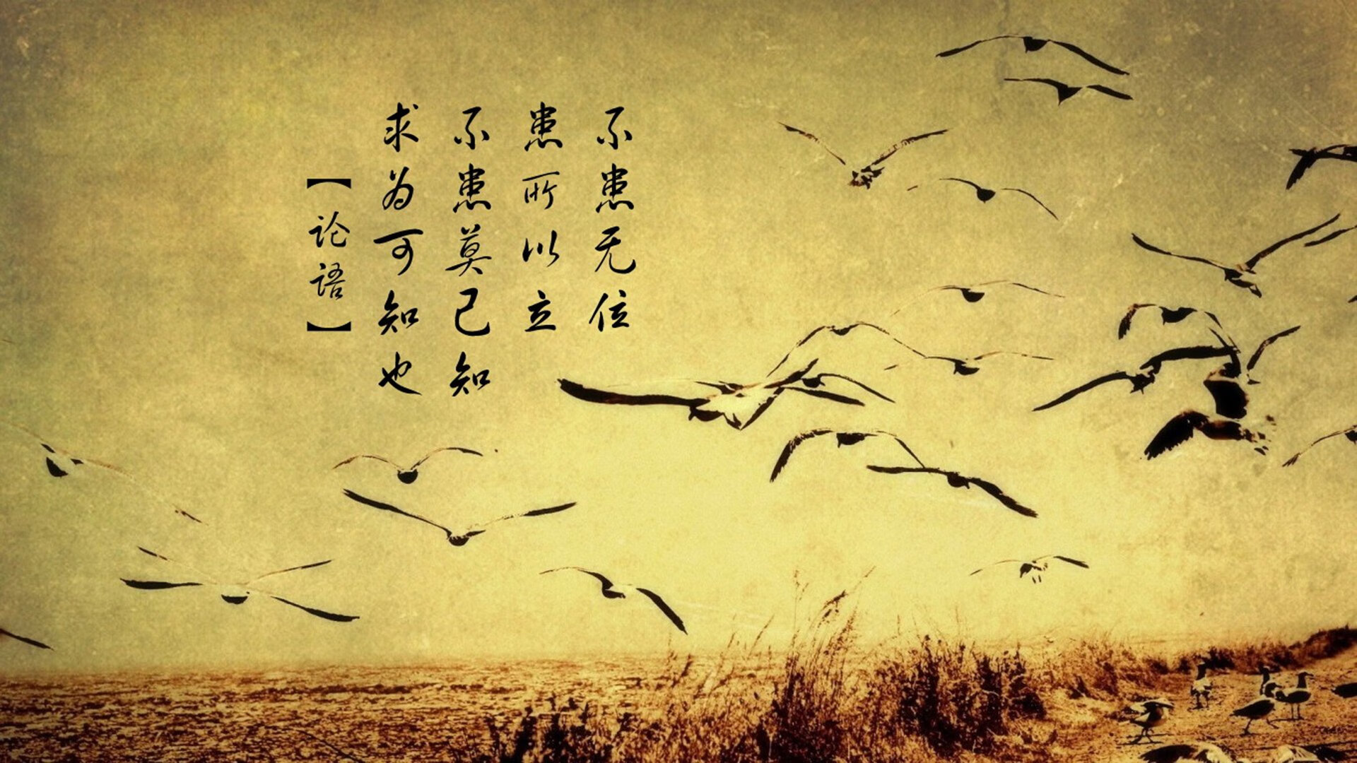 日本骑手大和田智子在2024年巴黎奥运会上与“雷霆”马匹携手夺铜,创历史佳绩。