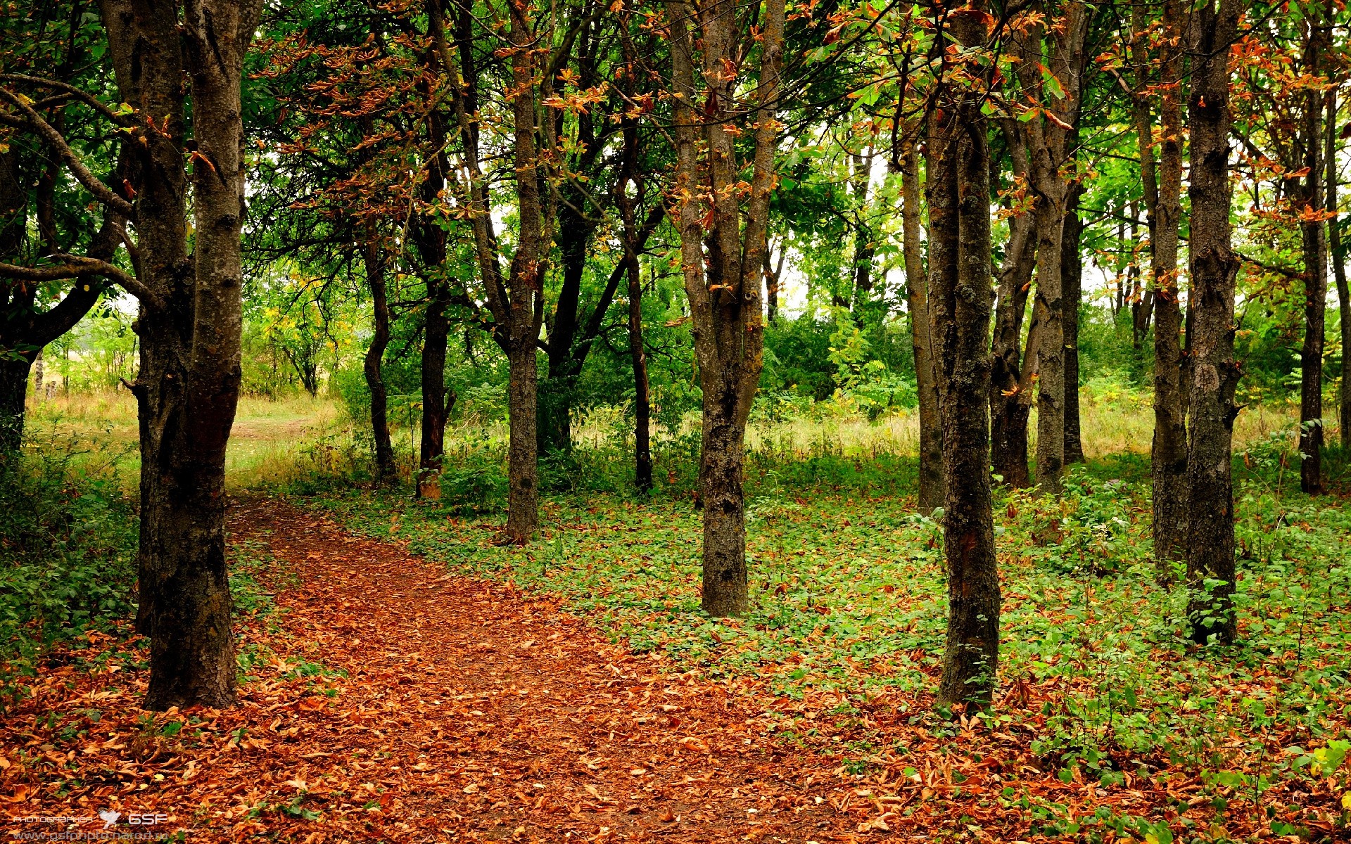 KPL裁判培训课程升级,执行细则与国际接轨,王者裁判