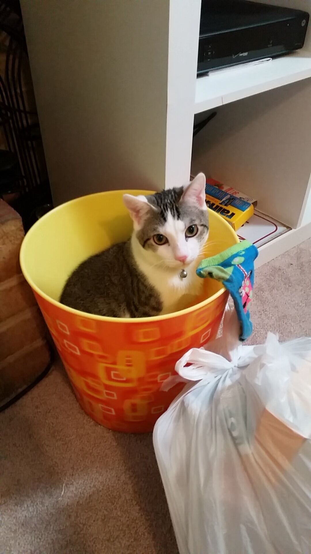 勇士失误频发主场憾负,勇士队打比赛