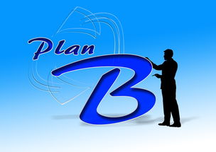 九游app官网下载-中国篮球职业俱乐部财务风险控制研究，篮球俱乐部企业组织结构图